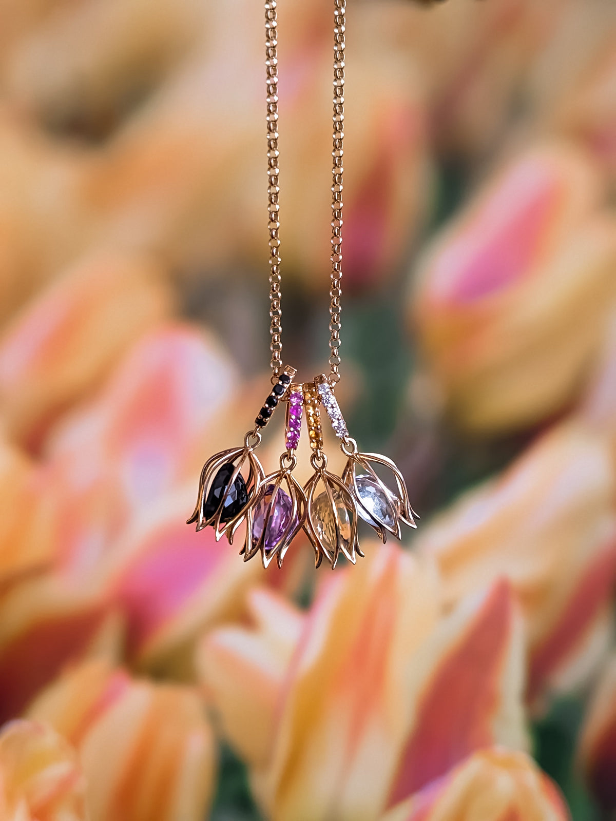 Tulip Collection