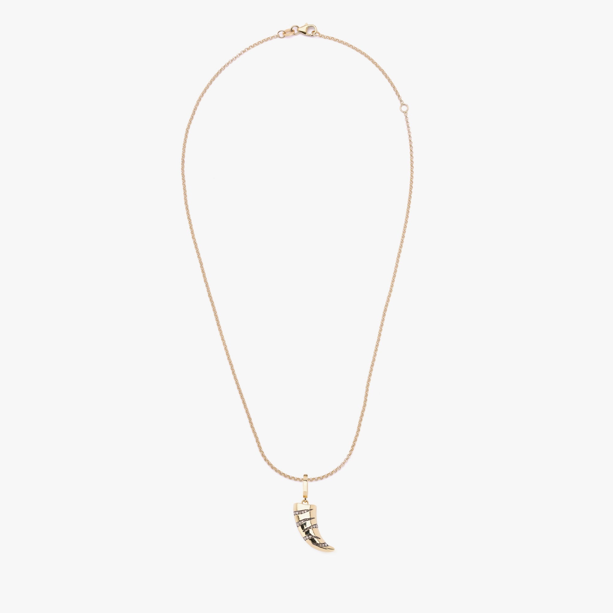 Tiger Claw Charm Pendant